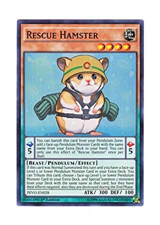 Amazon.co.jp: 遊戯王 英語版 PEVO-EN028 Rescue Hamster レスキュー